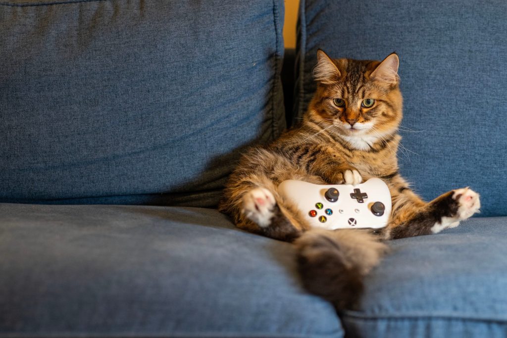 Gaming